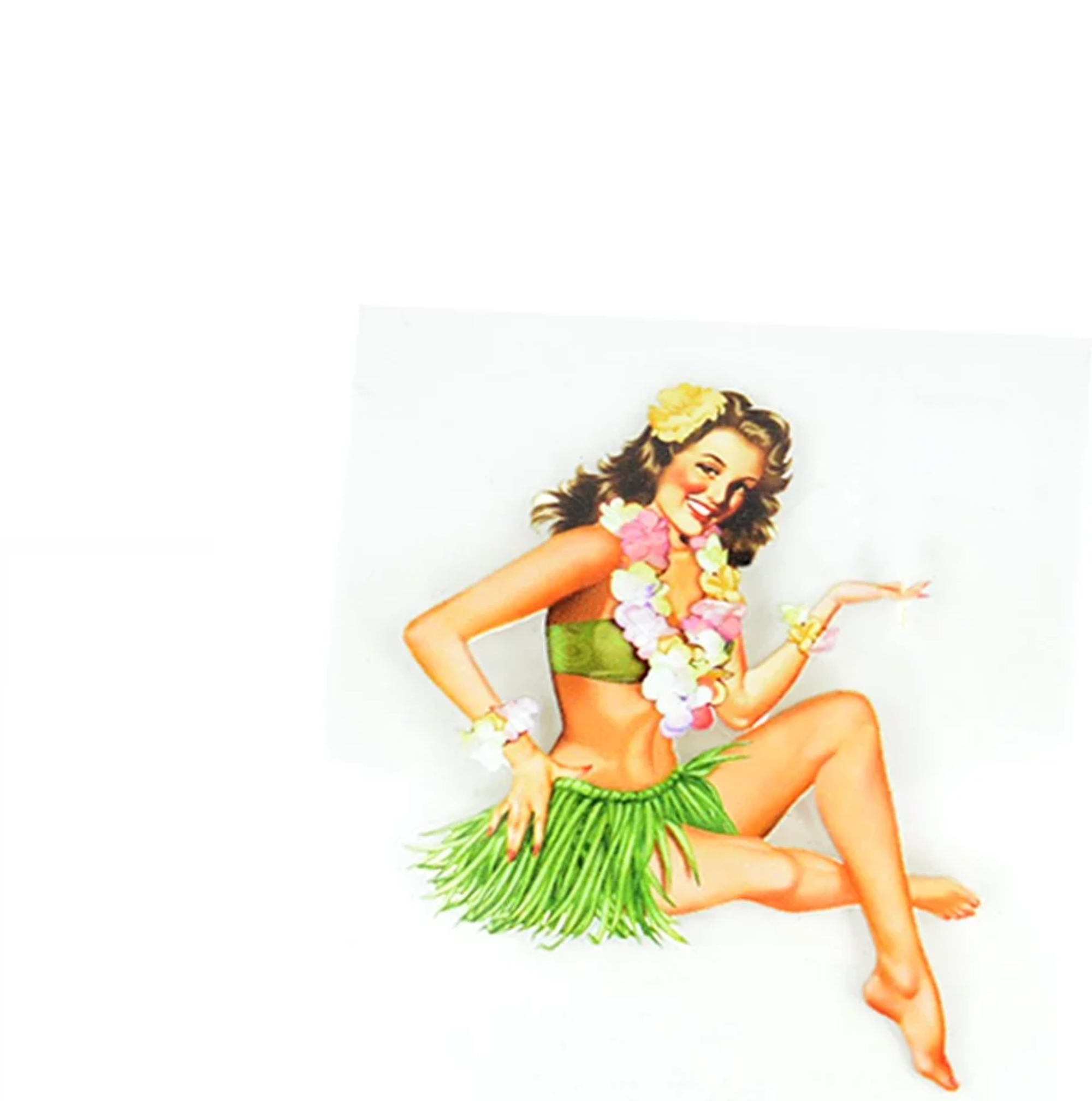 SAMOLEPKA - HAWAI